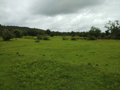 Farmhouse Plots view 2